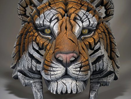 Tiger Bust Fashion