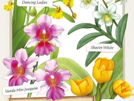 Oh My. Orchids! (Import) Discount